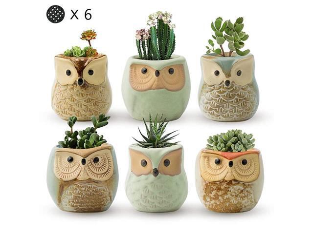 Succulent Pots 25 Owl Planter Owl Pot Small Pots for Plants Cute Small Planter with Accessories Great for Home Decor and Ideal Gift Set of 6