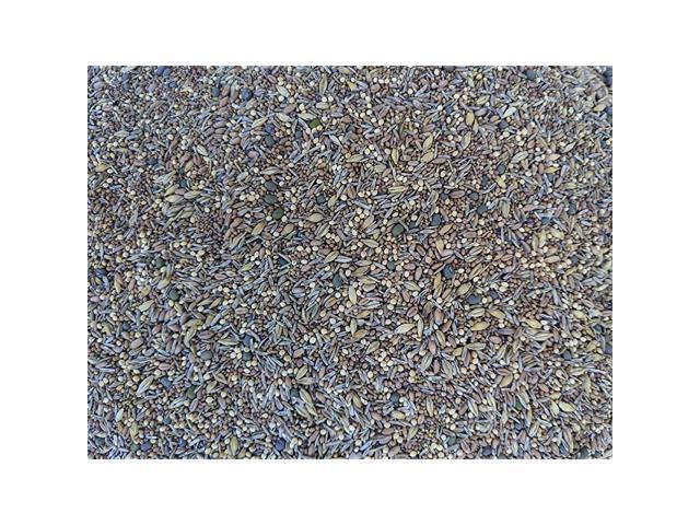 Chicken Poultry Pasture Forage and Fodder Seeds 5lb Bag 33 Each Clovers Supplemental Grains