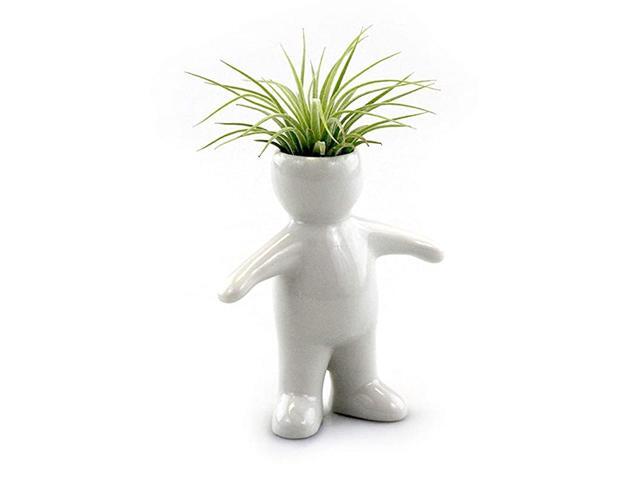 Air Head Family People Planters Air Plant Holders Table Top Display Planters for Air Plants and Other Mini Plants Boy