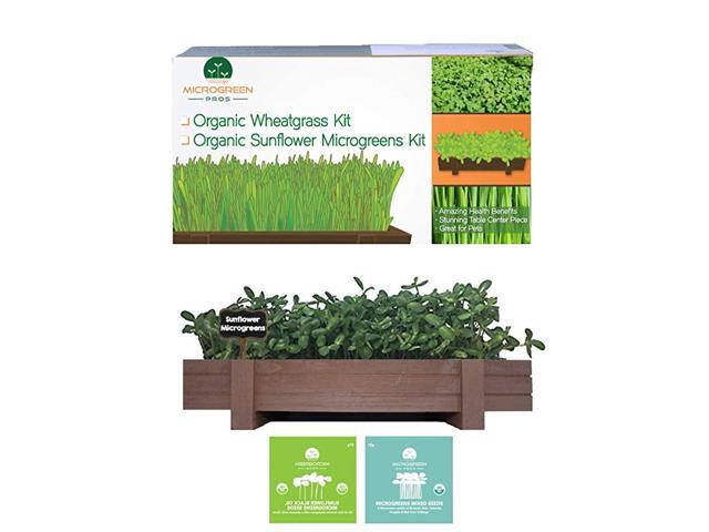 Microgreens Growing Kit with Beautiful Wooden Countertop Planter Soil amp Sunflower and Mixed Microgreens Seeds for 2 Crops 100 Guaranteed to Grow