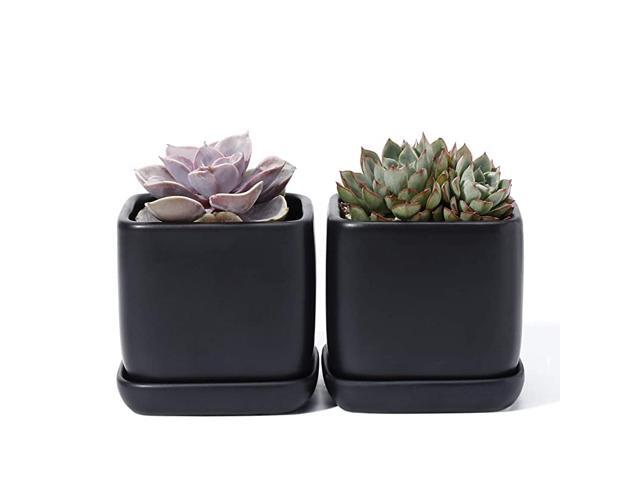 051102 Succulent Pot with Drainage Hole amp Saucer 35 Inch Glazed Ceramic Square Small Planters Indoor for Plants Cactus SucculentMatte Black Set