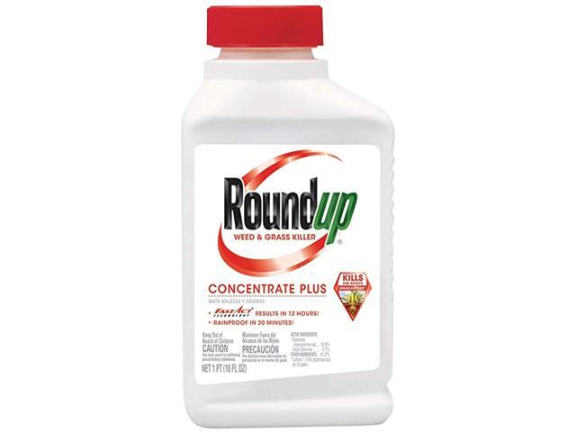 Weed amp Grass Killer Concentrate Plus