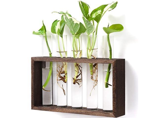 Wall Hanging Glass Planter Propagation Station Modern Flower Bud Vase in Wood Stand Rack Tabletop Terrarium for Hydroponics Plants Home Office