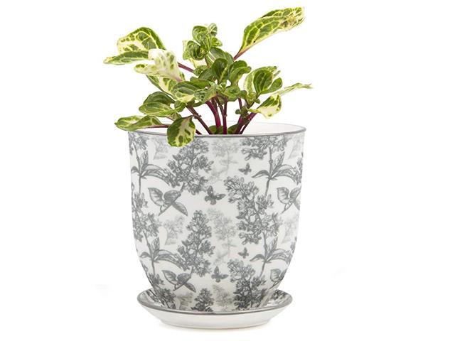 Big Liberte Large Succulent and Cactus Planter Pot 425quot Ceramic Flower and Plant Container with Drainage Hole and Detachable Saucer Great for