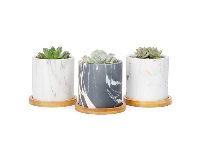 Succulent Plant Pots 3 Inch Cylinder Mabble Ceramic Planter for Cactus Succulent Planting with Drainage Hole Bamboo Trays Set of 3