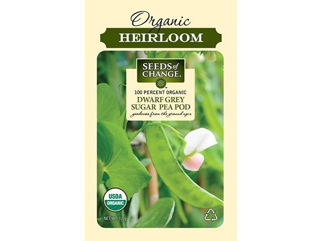 8268 Certified Dwarf Grey Pea Organic Green
