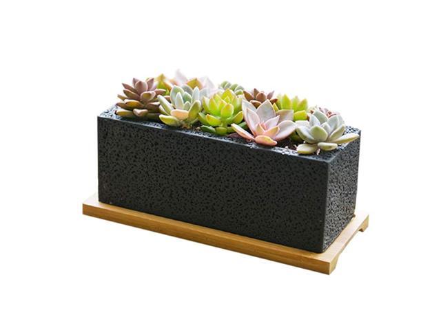 85 inch Succulent Planter in Rectangle Window Box with Bamboo Saucer Black