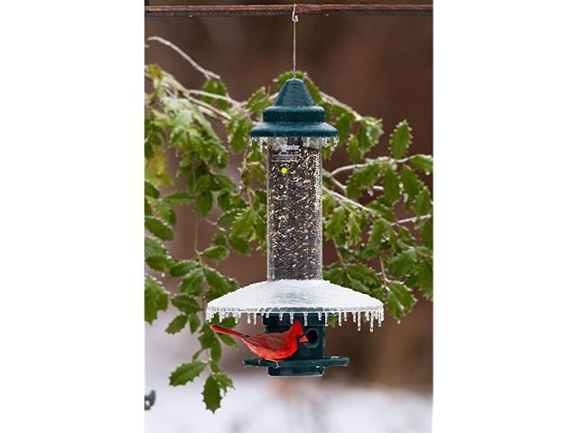 Guard for Squirrel Buster Plus Bird Feeder FEEDER NOT INCLUDED