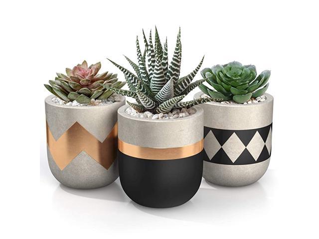 inch Small Succulent Pots with Drainage Set of Concrete Planter Pots for Succulent Plants Cement Planter Cactus Pots Use as Succulent Planter