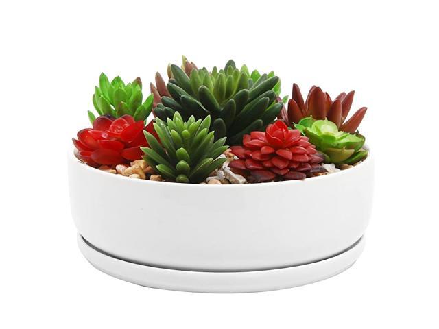 inch Modern White Ceramic Round Succulent Planter Pot with Removable Saucer