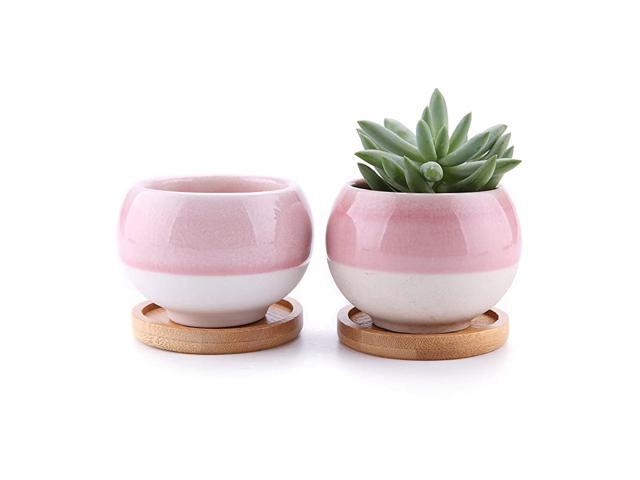 3 Inch Succulent Pots Pink Planters Set of 2 Ceramic Cactus Planters with Drainage Bamboo Tray Ball Shape Window Boxes for Home and Office Decoration