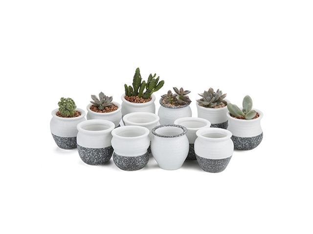 25 Inch Small Ceramic Succulent Planter Pots with Drainage Hole Set of 12 Snowflakes Glazed Porcelain Handicraft as Gift for Mom Sister Home Office