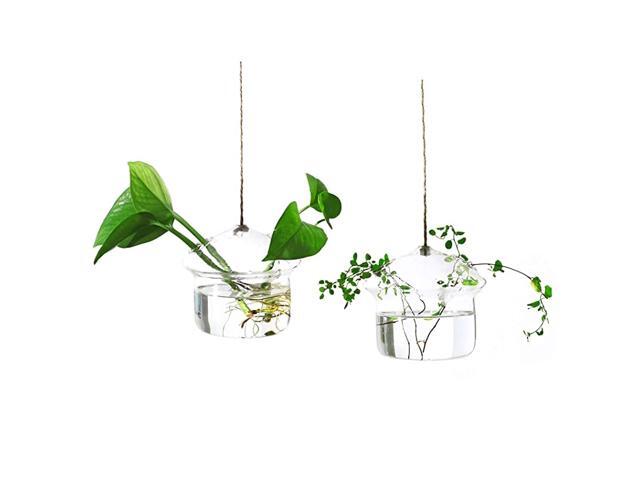 MushroomShaped Hanging Glass Flower Planter Vase Terrarium Container for Hydroponic Plants Home Garden Decor