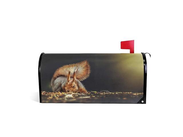Magnetic Mailbox Covers Beautiful Squirrel with Fluffy Tail Letter Box Cover Colorful Painting Graden Outdoor Decorations255x208 Inch Large