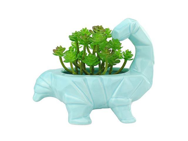 6 Inch Blue Dinosaur Ceramic Succulent Planter Optional for Drainage HoleCute Supersaurus Bonsai Cactus Flower Pot Blue Supersaurus with Hole