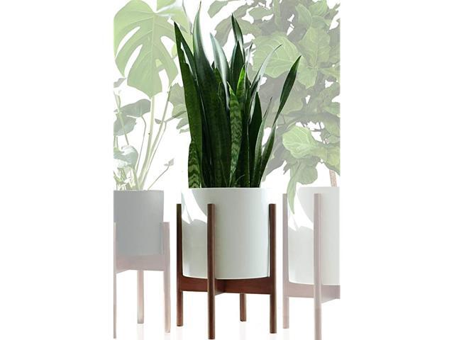 amp Fern Mid Century Plant Stand Indoor Acacia EXCLUDING 10quot Ceramic Pot Fits Snake Plant