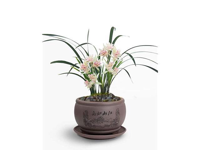 48quot Beautiful Scenery Zisha Bonsai PlanterSucculent PotFlower Pot w Saucer Dark Brown