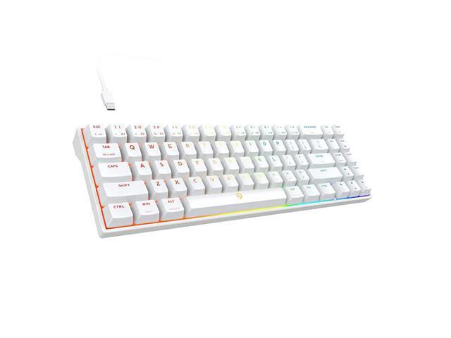 Calibur V2 TE RGB 60 Wired Mechanical Gaming Keyboard 71Key Small Compact Work for PCMac Detachable USB TypeC Outemu Brown SwitchWhite