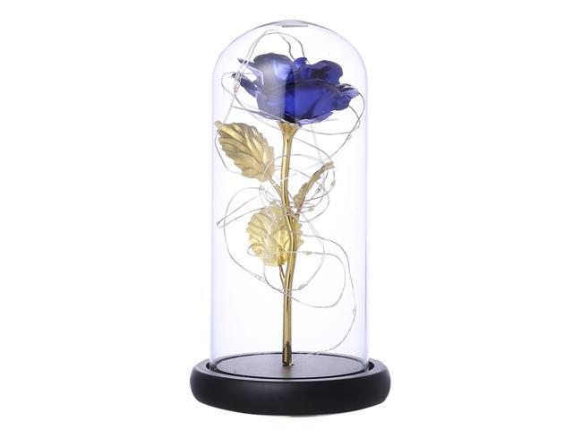 Gold Foil Rose Flower String Light with Glass Cover Home Decor Night Light Valentine's Day Gift