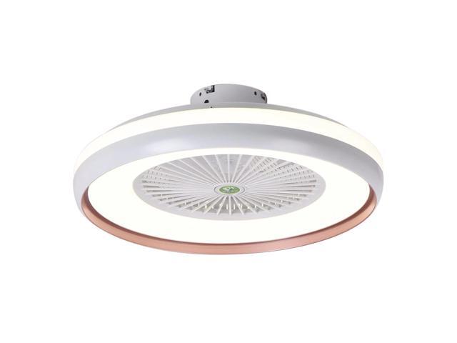 Ceiling Fan with Lighting LED Light Stepless Dimming Adjustable Wind Speed Remote Control Without Battery Modern LED Ceiling Light for Bedroom
