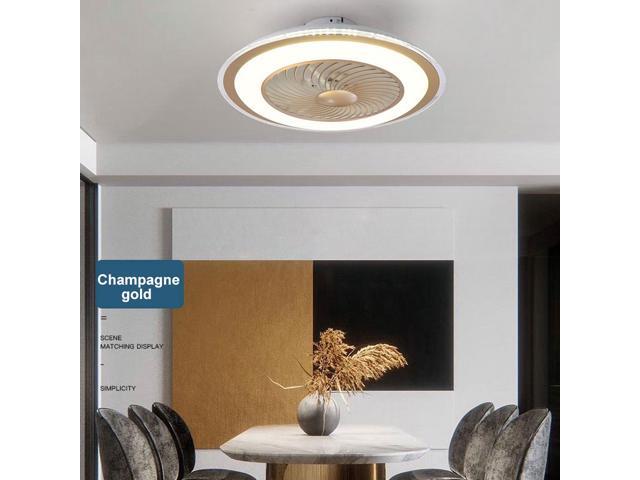 Modern Ceiling Fan Lamp with Remote Control 3-Color Light 3 Speed Wind 50cm Ceiling Fans 220V LED Lighting for Bedroom Living Room Dining Room Decor