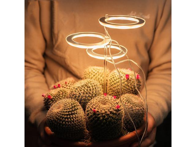 DC 5V Ring Grow Light USB Phytolamp Plants LED Full Spectrum Lamp for Indoor Plant Seedlings Home Flower Planting-Double Head & Yellow