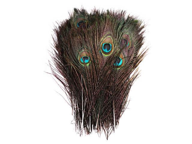 50PCS 25-30cm Beautiful Natural Tail Feathers Eyes Feathers Decorations for Craft Art Dress Hats Bridal Costume Party