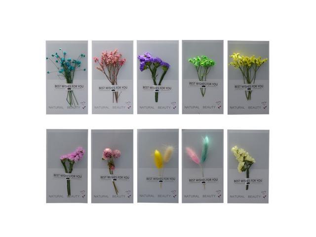 10pcs Creative Dried Flowers Greeting for Thanksgiving Birthday Valentine's Day Christmas Holiday