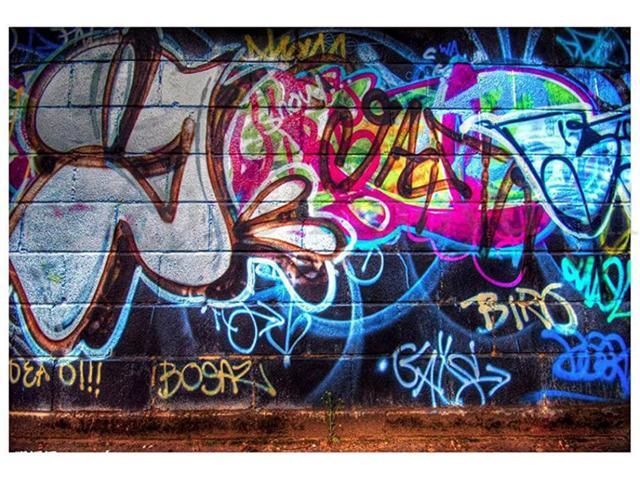 FUT Colorful Graffiti Vinyl Photo Backdrop Background Wall Decor Studio