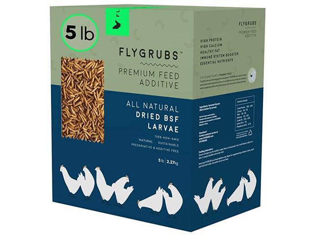 Superior to Dried Mealworms for Chickens 5 lbs NonGMO 85X More Calcium Than Meal Worms Chicken Feed amp Molting Supplement BSF Larvae Treats for