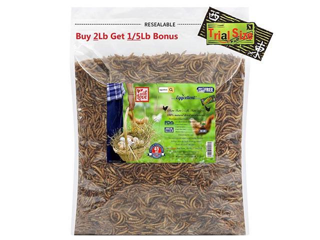 Natural Dried Black Soldier Fly Larvae for ChickensHigher Calcium Supplements Than Mealworms for Laying Stronger EggshellsBSF Larvae Treats for