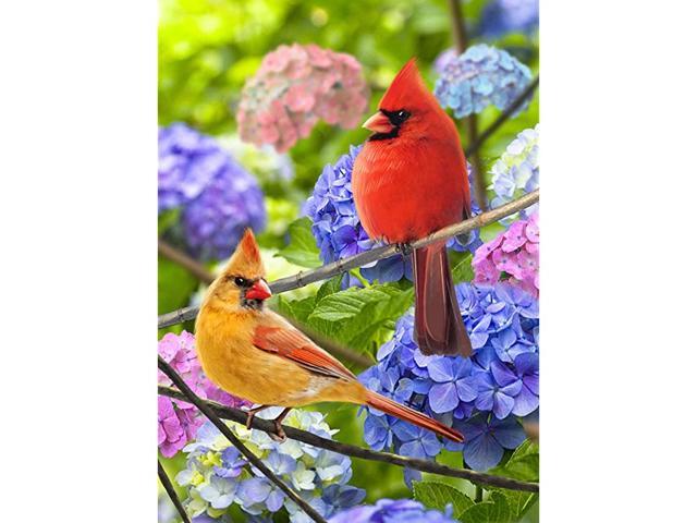 Cardinals Home Decorative Garden Flag Summer Fall House Yard Welcome Decor Red Yellow Birds Hydrangea Flowers Spring Autumn Outside Decorations