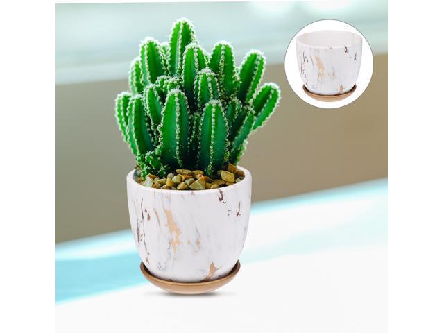 1pc Elegant Garden Succulent Container Flower Pot Succulent Planter Plant Pot with Tray