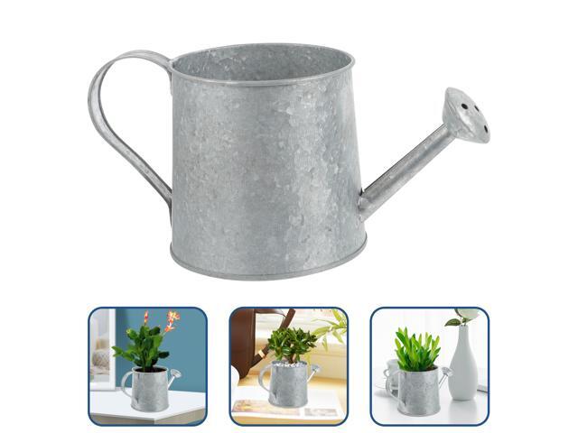 2pcs Iron Watering Can Simple Creative Kettle Watering Device Pot for Garden Outdoor