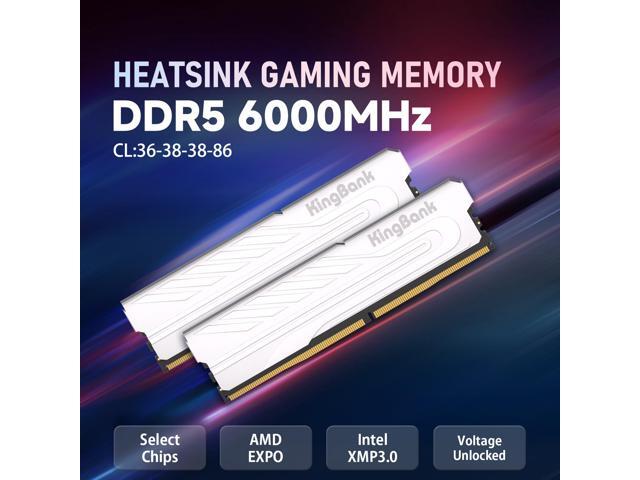 NeweggBusiness - KingBank Computer Desktop Memory Ram DDR5 32GB