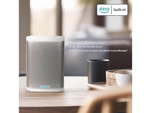 Riva Audio Riva Concert Google Assistant Riva Concert Google