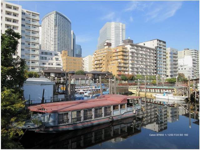 NeweggBusiness - Canon Compact Digital Camera IXY 650 12x Optical  