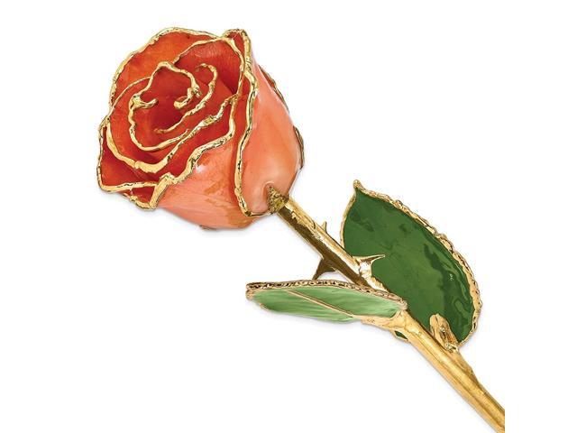 Allmygold Jewelers Orange Long Stem Dipped 24K Gold Trim Genuine Rose