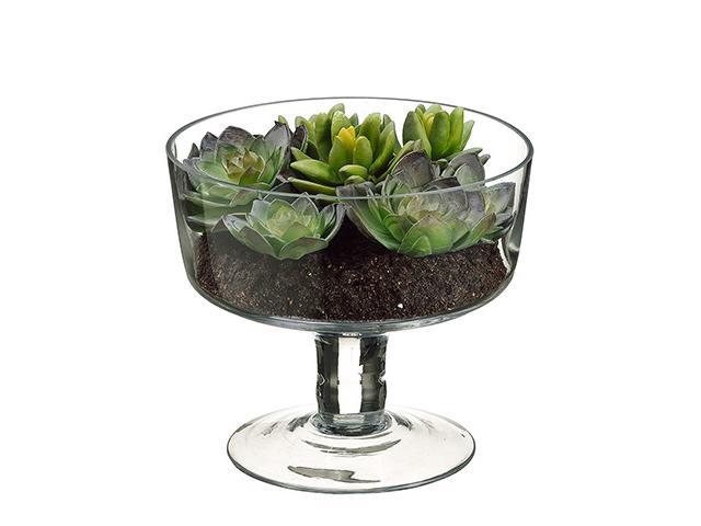 675' Artificial Spring Succulent Garden in Decorative Clear Glass Vase
