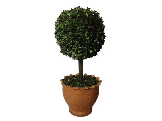 Vintage Home 29-Inch Preserved Boxwood Topiary Ball in Clay Planter