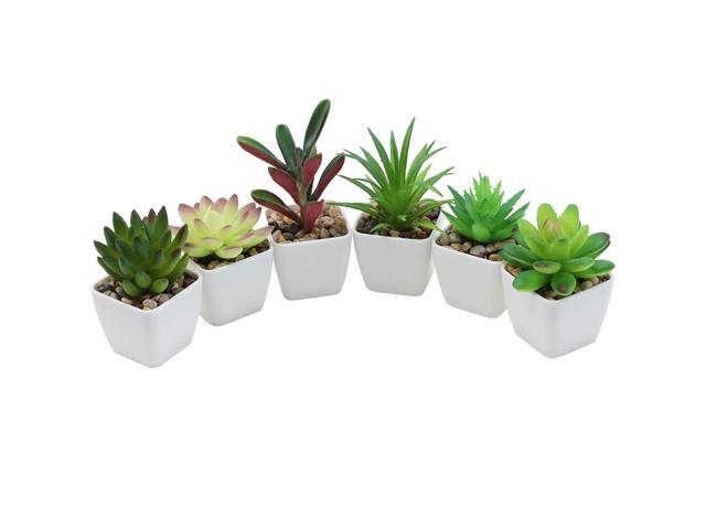 Nubry Mini Fake Succulent Plants Artificial Plastic Succulents Potted Faux Assorted Plants for Home Office Table Decoration Set of 6