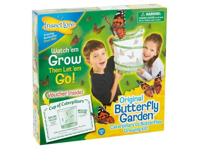 Insect Lore Butterfly Garden 1010