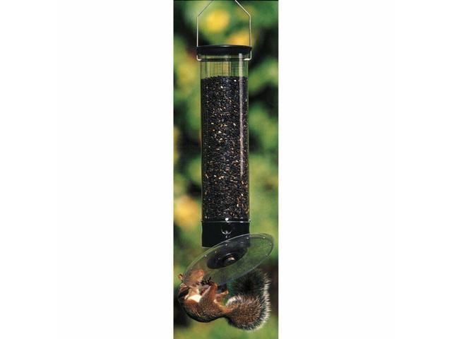 Droll Yankee Bird Feeder