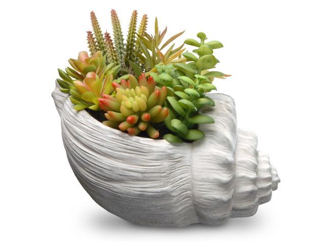 98' Succulent Plants - Ceramic Pot