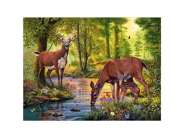 5D Diamond Painting Kits Full Drill Diamond Embroidery 12x16 Inches