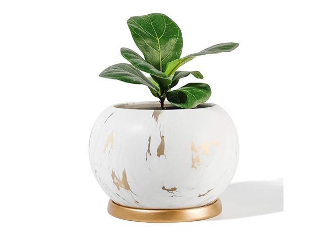 Planter Ceramic Plant Flower Pot 5quot Large Indoor Glazed Container Bonsai with Drainage Hole Saucer Large Space WhiteampGolden