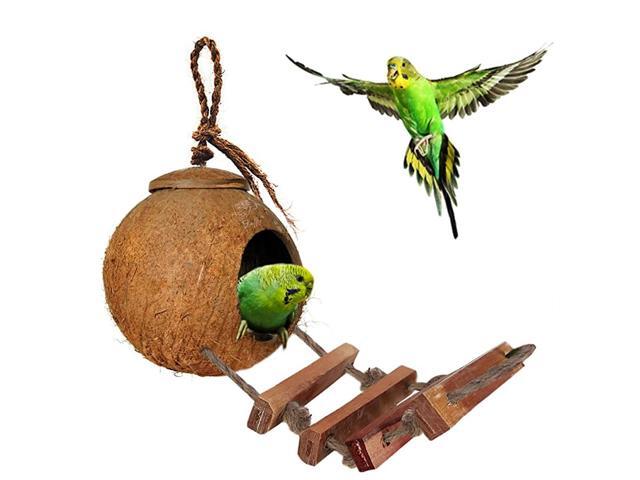 Bird House with Ladder Nesting Home and Bird Feeder Mini Condo for Avians Coco Texture Encourage Foot and Beak Exercise 100 Raw Coconut Husk