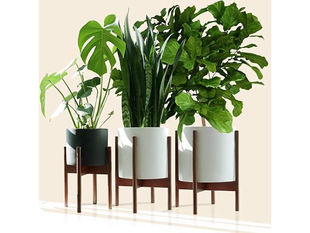 amp Fern Wide Plant Stand Acacia EXCLUDING 15quot White Ceramic Planter Pot