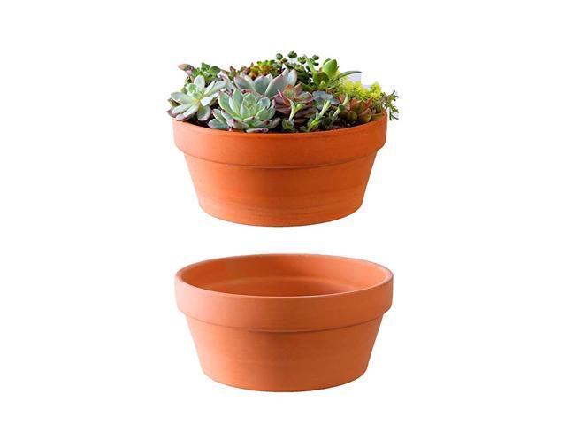 Large Terracotta Pots for Succulent 10 Inch Cactus Plant Containers Indoor Garden Bonsai Pots with Drainage Hole Set of 2 Unglazed Clay Ceramic
