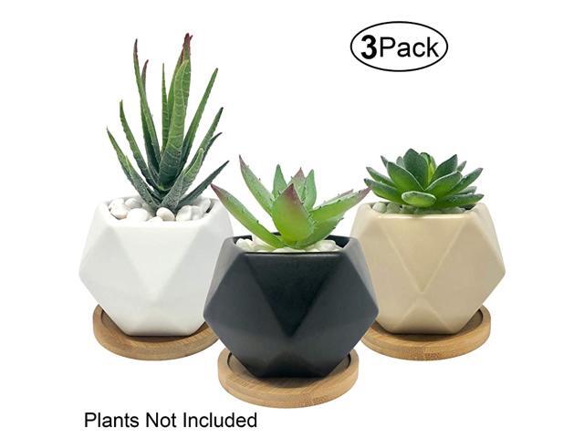 Succulent Pots 3 Inch Ceramic Mini Flower Pots Small Cactus Planter Modern Geometric Design Black White Beige with Bamboo Bases Pack of 3